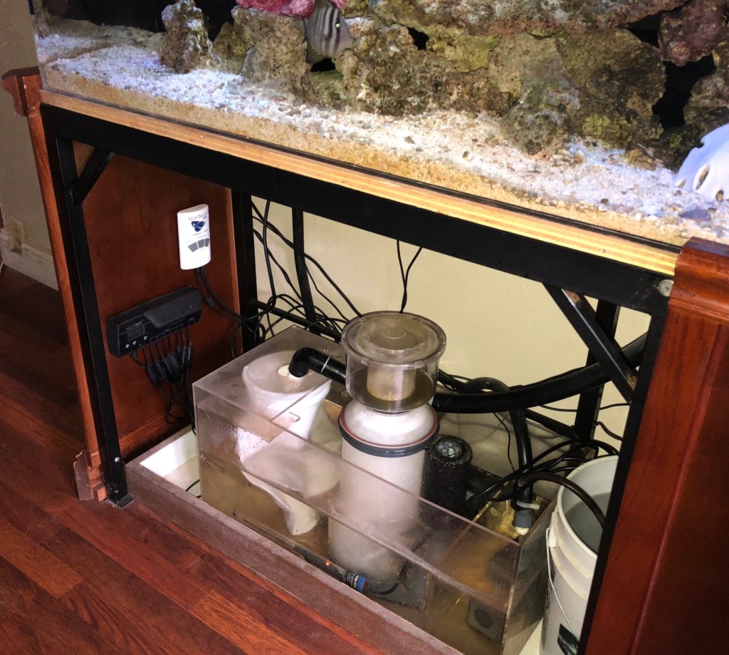 Custom Aquariums & Life Support Fresno, CA