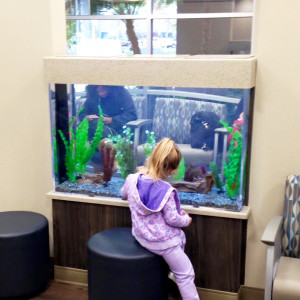 new office waiting room custom-aquarium build completed