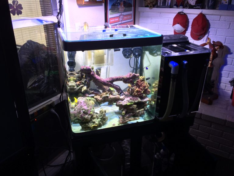 We are the Reef Aquarium Hobbyist's Go-To Service Company