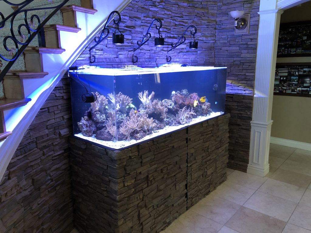 180 Gallon Soft Coral Reef on Stone Stand